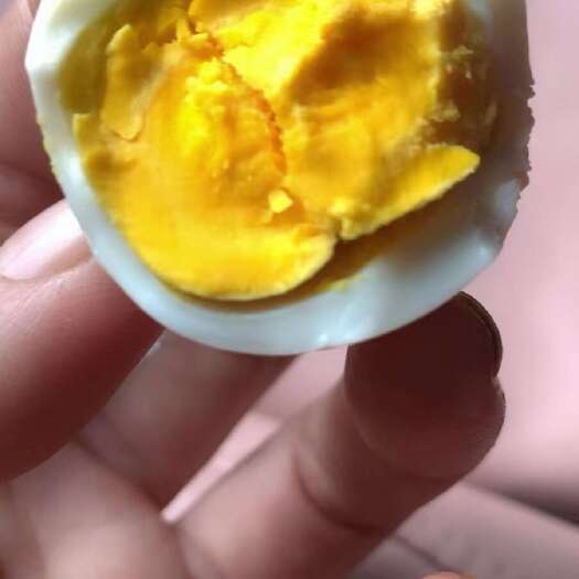 邯郸笨鸡蛋批发