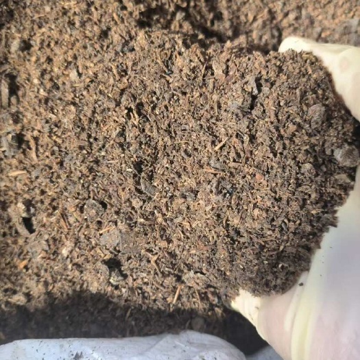 深圳黑水虻虫沙，糟渣喂养，大量现货