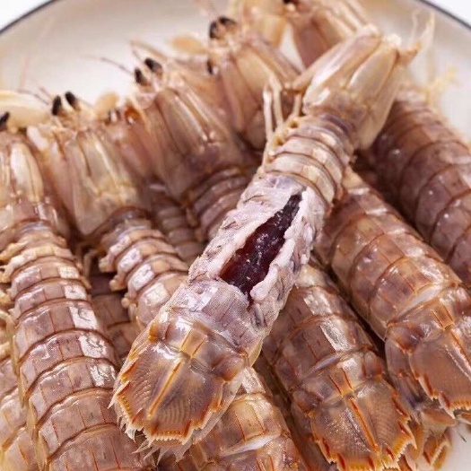 连云港皮皮虾，虾爬子一手货源批发零售