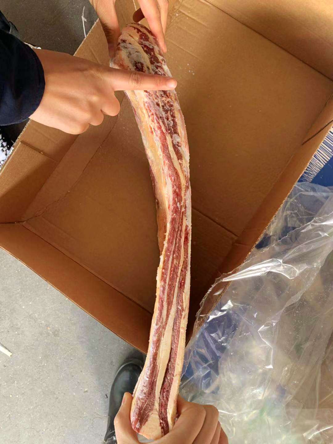 冷冻带骨牛肉 牛肋排 上海宝山发货 鲜嫩可口 牛肉优选