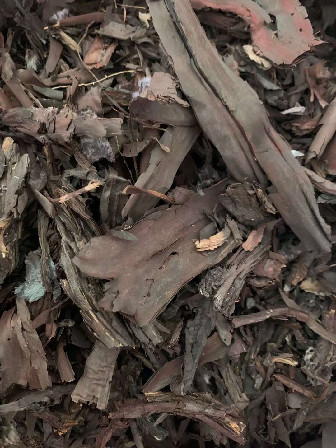 紫草/精选好货/批发兼零售，量大可商议，全国包邮