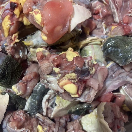 甲鱼肉   甲鱼块   活杀去皮  去内脏