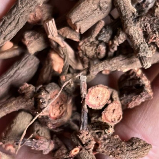 威宁县贵州省优质茜草根茎中药材