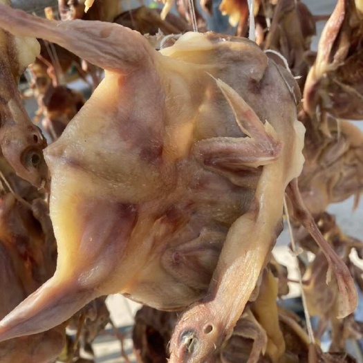 沙洋县腊鹌鹑