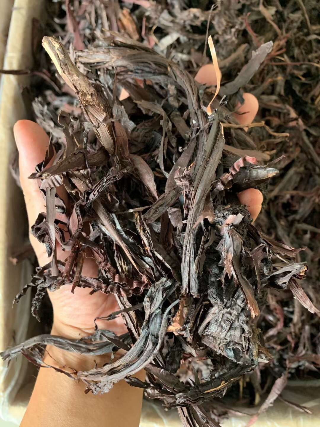 紫草/精选好货/批发兼零售，量大可商议，全国包邮