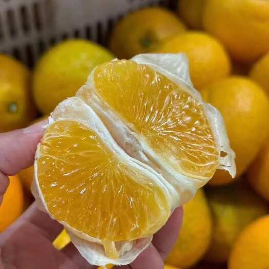 平和县甜心柚，桔柚
