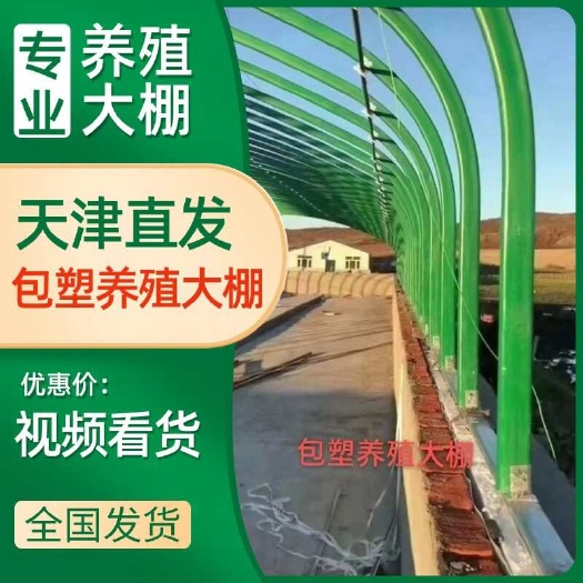 天津蔬菜大棚大棚杆养殖大棚种植大棚花卉大棚钢管大棚菌菇棚厂家直销