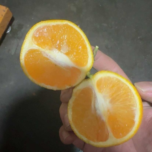 广东廉江红江橙 味甜 快递直达 损坏包赔 品质保证