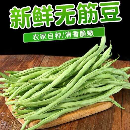 无丝豆