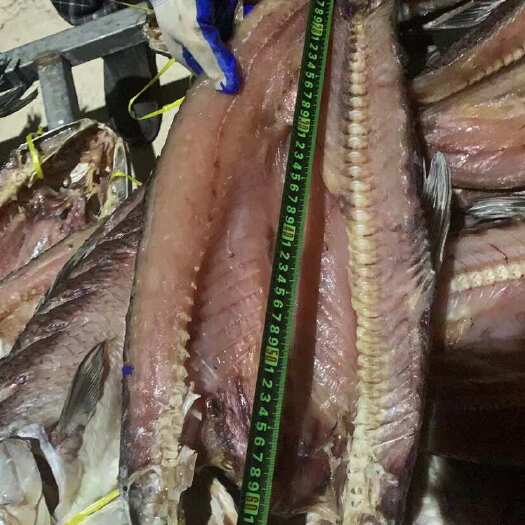沙洋县腊青鱼