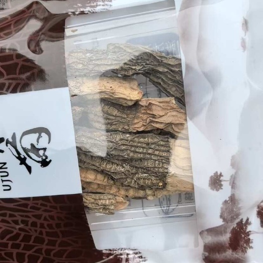 羊肚菌干货新货性价比货羊肚菌鲜菇菌汤包产地直发