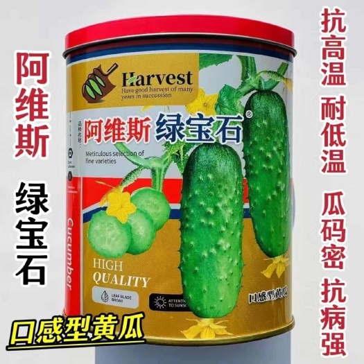 新版阿维斯绿宝石黄瓜种子水果黄瓜种子甜脆清香薄皮短棒型黄瓜种