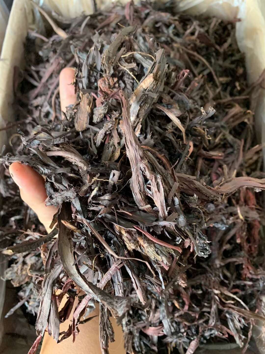 紫草/精选好货/批发兼零售，量大可商议，全国包邮