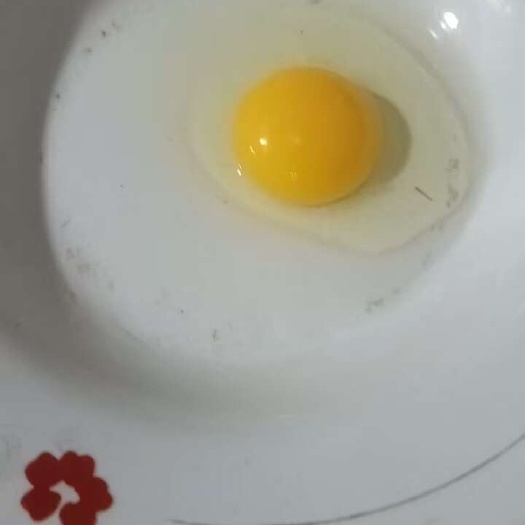 重庆市土鸡蛋，重庆主城区送货上门