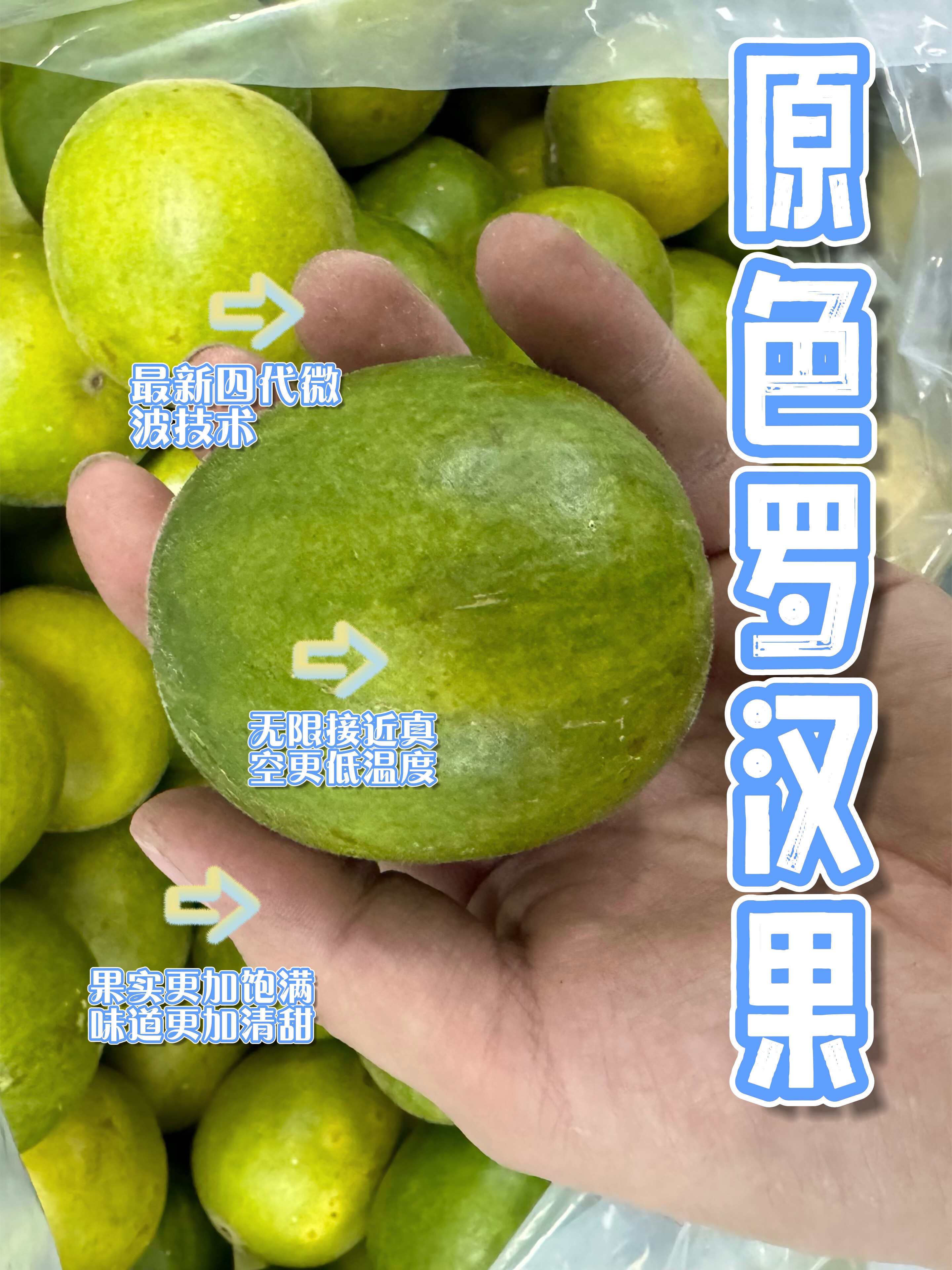 脱水罗汉果青皮原色批发散批厂家直发广西桂林原产地