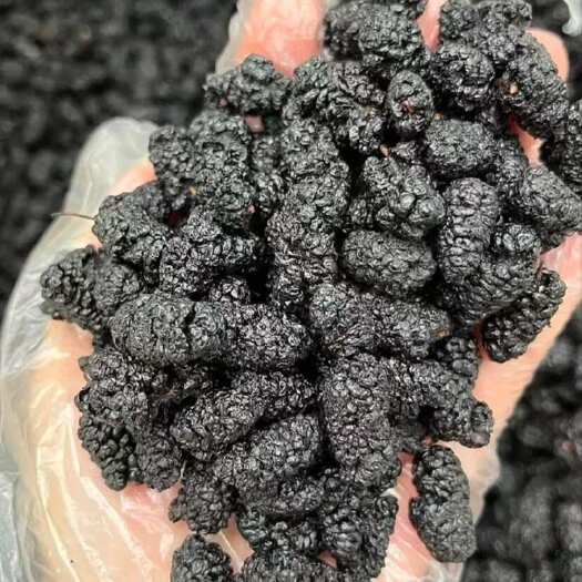 泊头市精品大颗粒桑葚干，无碎子，