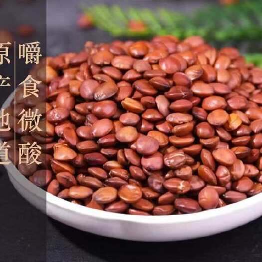 亳州酸枣仁中药材枣仁正品国产枣仁泡茶睡不着养心