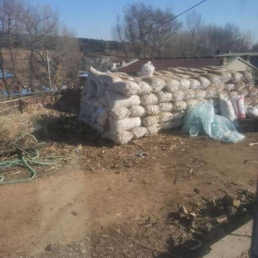 阜新县308花生  可打米