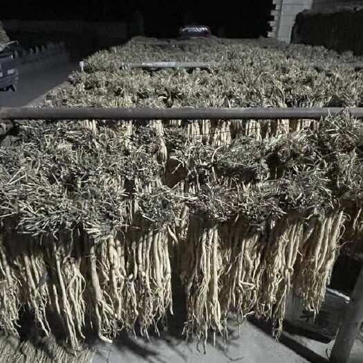 陇西县甘肃定西陇西县优质防风中药材根茎类药材可整车发货支持定制包装