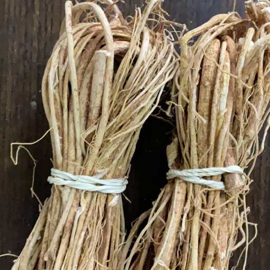 博罗县五指毛桃