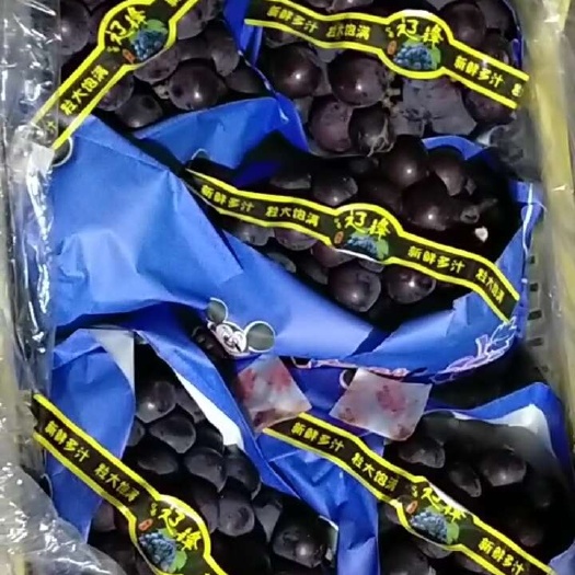 辽峰葡萄
