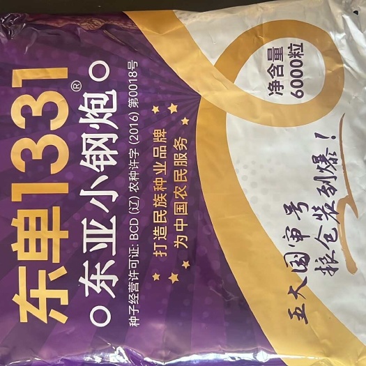 葫芦岛小钢炮东单1331五国审大品种