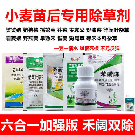郑州小麦除草剂婆婆纳猪殃殃小麦除草剂燕麦雀麦小麦专用除草剂套装