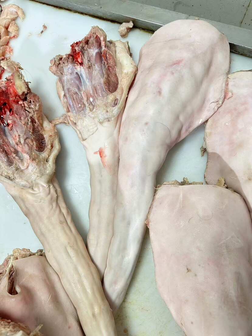 精品牛尾 修油去大骨