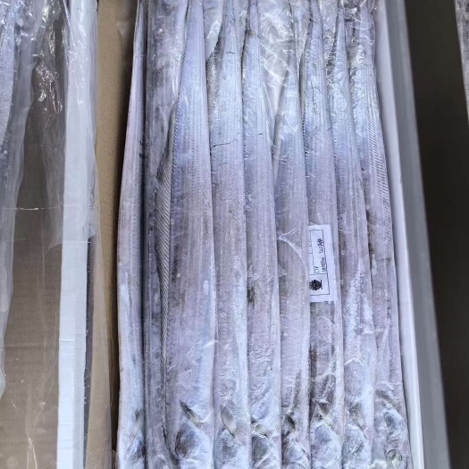 印尼 阿曼 AAA钓带  钓B 全规格