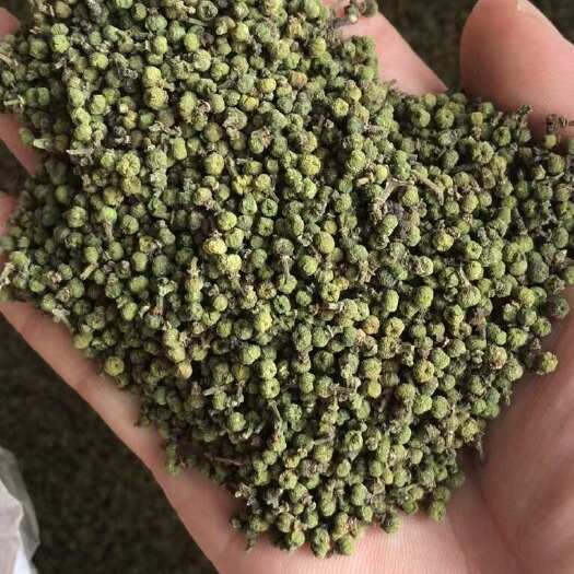樟树市江西中花吴茱萸新货  吴茱萸粉 批发零售 量大从优 免费打粉
