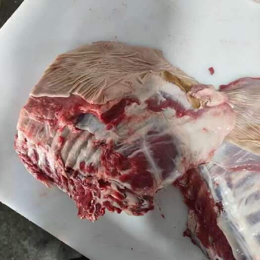 河间市羊排，带皮羊排，精修带皮羊排，带皮羊排。