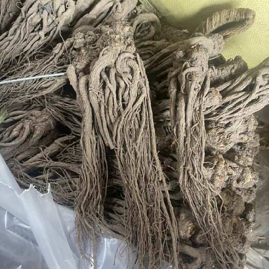 陇西县甘肃定西产地直供 整根全归中药材 当归批发 高品质可定制包装