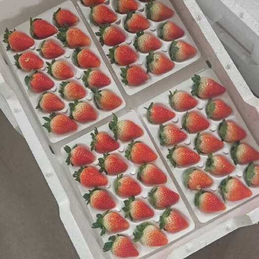 太和县闻集草莓大量上市。
