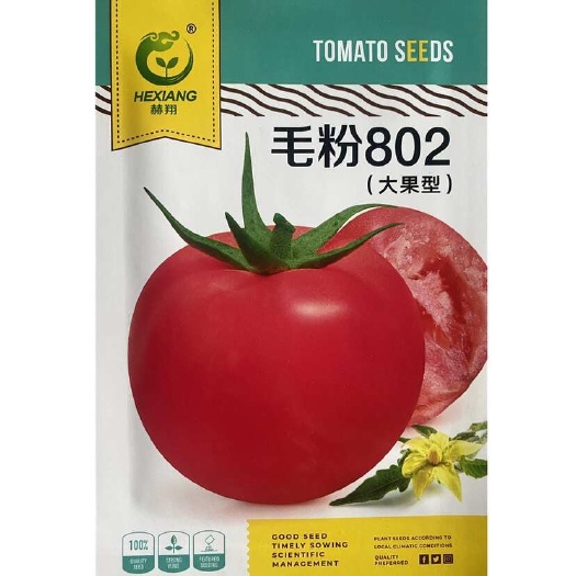 安仁县毛粉802西红柿种子大果潘茄种子蔬菜种子