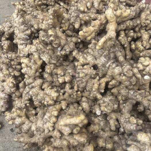 广南县有还想要的速度了就最后二十几吨了