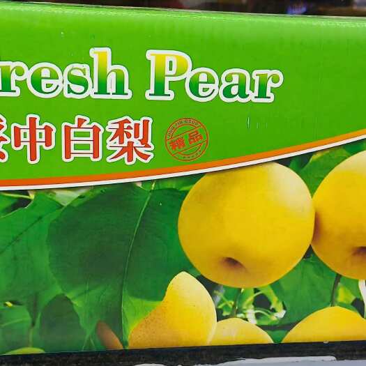 绥中县绥中特产大白梨