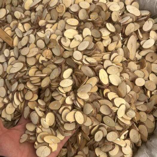 广西玉林新鲜采摘天然桑树枝 藤木中药材批发零售