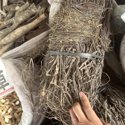 玉林小叶鸡骨草