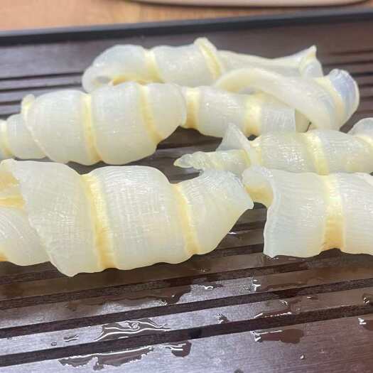 广州缅甸红鱼肚 各规格头数都有货 价格低