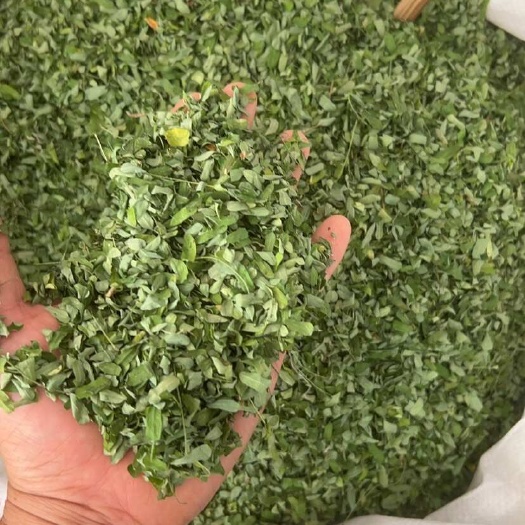 相思叶 鸡骨草叶