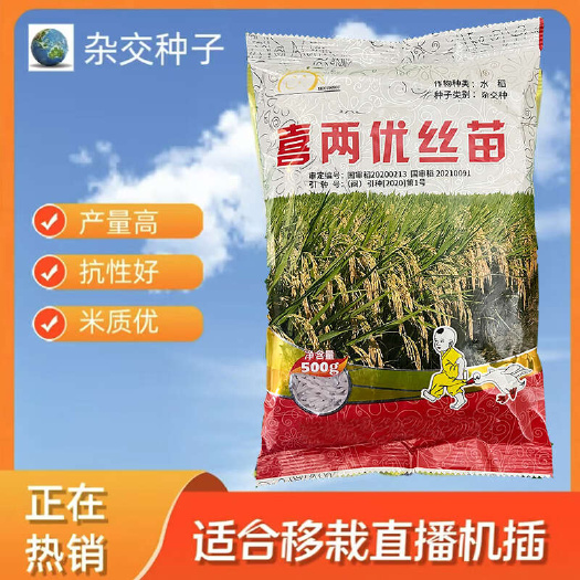 喜两优丝苗 G产杂交早中晚国审稻种抗病抗倒长粒大穗C级稻种