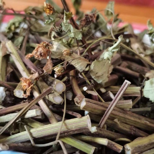 柳州鬼针草，鬼钗草，鬼黄花、山东老鸦草、婆婆草