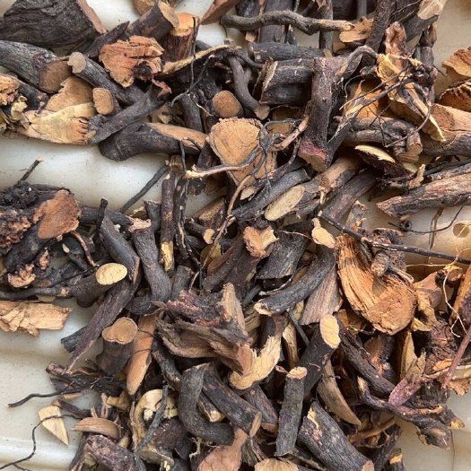 玉林广西玉林精选铁包金中药材 新鲜根茎 保证品质 快速发货