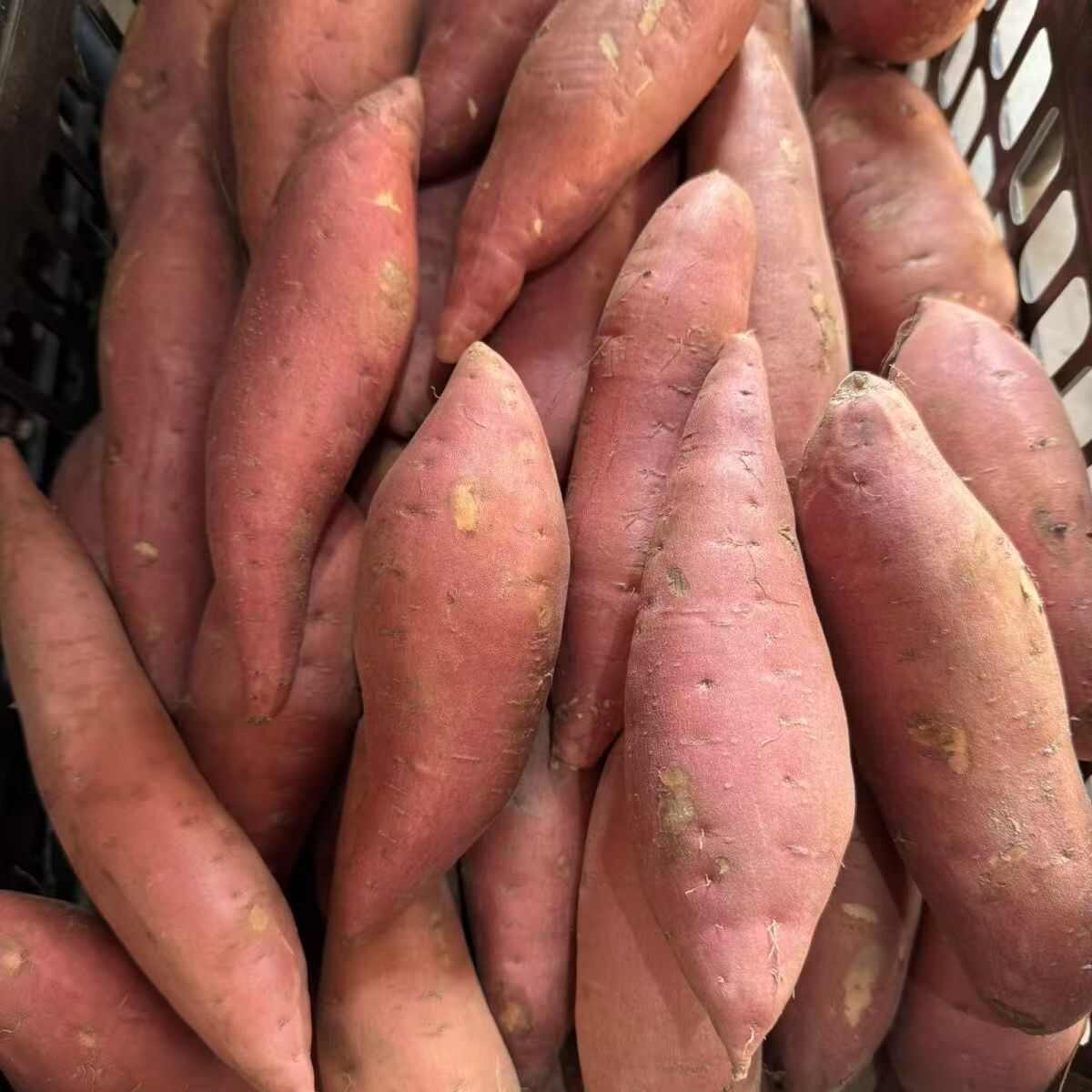 甜蜜红暑饱满美味干脆香甜