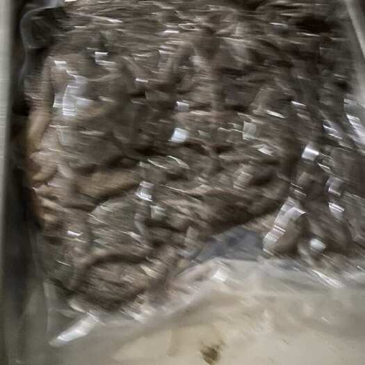 锡林浩特黑百叶～真空一个装，超干净