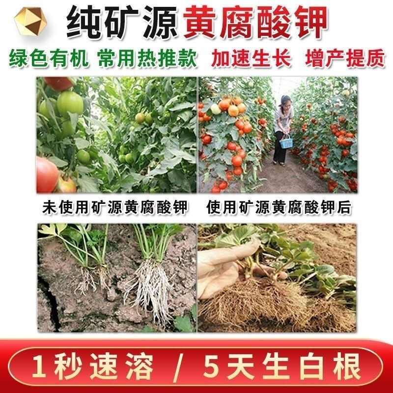 全水溶矿源黄腐酸原粉腐植酸叶面肥料有机肥生根农用壮苗水溶正品