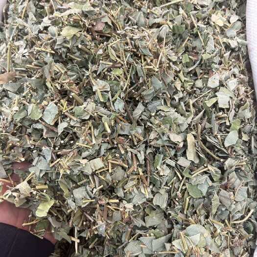 玉林金钱草 青绿色 过筛货漂亮