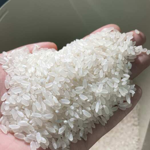 齐齐哈尔黑龙江齐齐哈尔一等粳米 5/10/25kg装 新鲜现碾 直发
