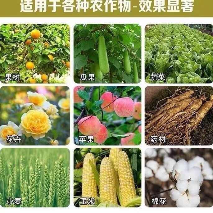 全水溶矿源黄腐酸原粉腐植酸叶面肥料有机肥生根农用壮苗水溶正品