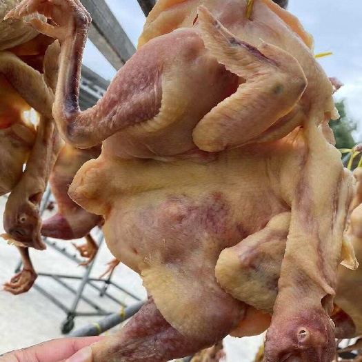 沙洋县矮脚腊鸡